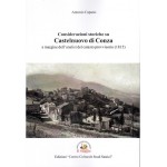 Considerazioni storiche su Castelnuovo di Conza a margine dell’analisi del catasto provvisorio 